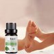 thumbnail image 3 of Aceite esencial Aceite corporal 10 ml Aceite de masaje hidratante para el cuidado de la piel Fragancias Cuidado calmante para la piel Masaje Aceites corporales nutritivos integrales, 3 of 5