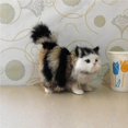 thumbnail image 2 of pitrice Fluffy Plush Cat Stuffed Animal Toy Creative Christmas Birthday Gift, 2 of 3