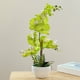 thumbnail image 5 of Bearachild Orquídeas artificiales Flor Decoración para el hogar Ligero Decoración falsa Plantas Cuenco blanco Olla Cocina Oficina Balcón Decoración Verde Bearachild HA084089-01, 5 of 6