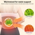 thumbnail image 3 of Hevirgo Waist Trimmer Self-Heating Waist Support Belt Lumbar Support Waist Belt Body Shaping Waist Protector for Back Pain Relief, 3 of 7