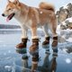 thumbnail image 2 of Zapatos de invierno de goma para mascotas, suela antideslizante, impermeables y cálidos, para todas las razas de perros, uso en exteriores e interiores, 2 of 6