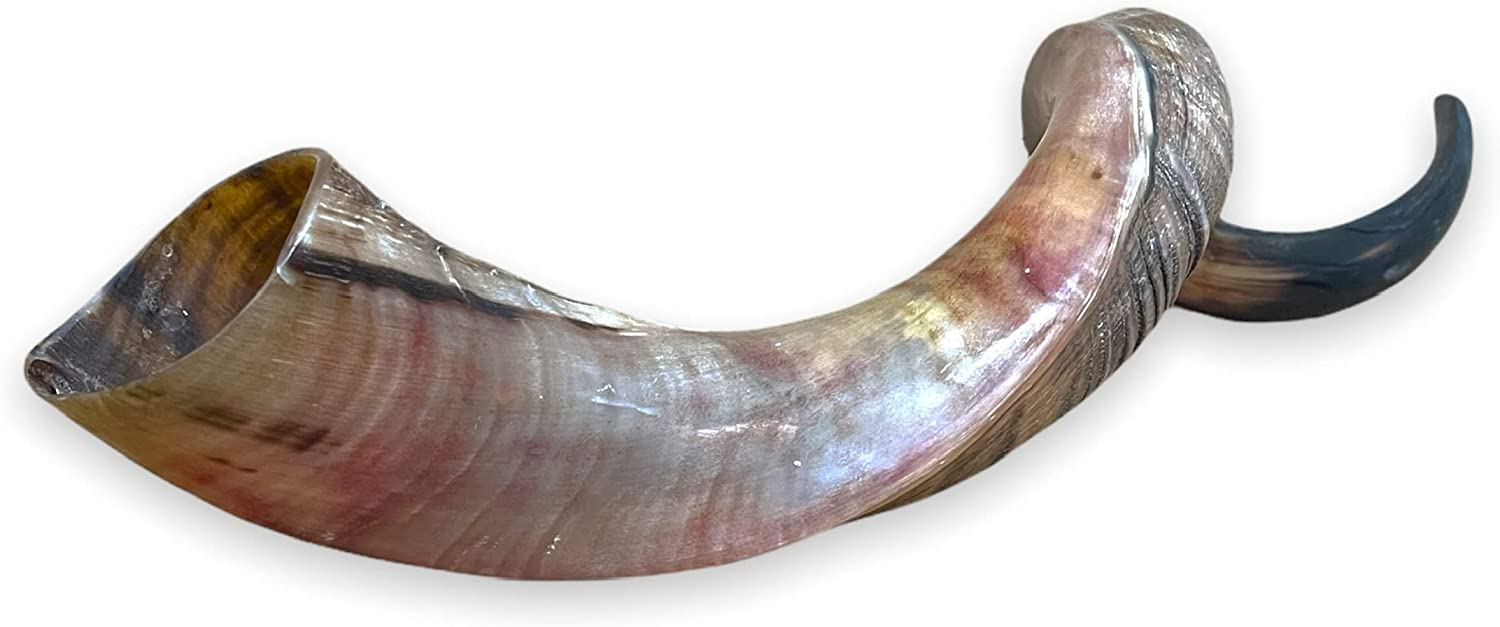 Certified Kosher Polished Kudu Horn Yemenite Shofar - Perfect for Rosh Hashanah and Jewish High Holidays - Handmade in Israel - Natural Colors - 20"-22"