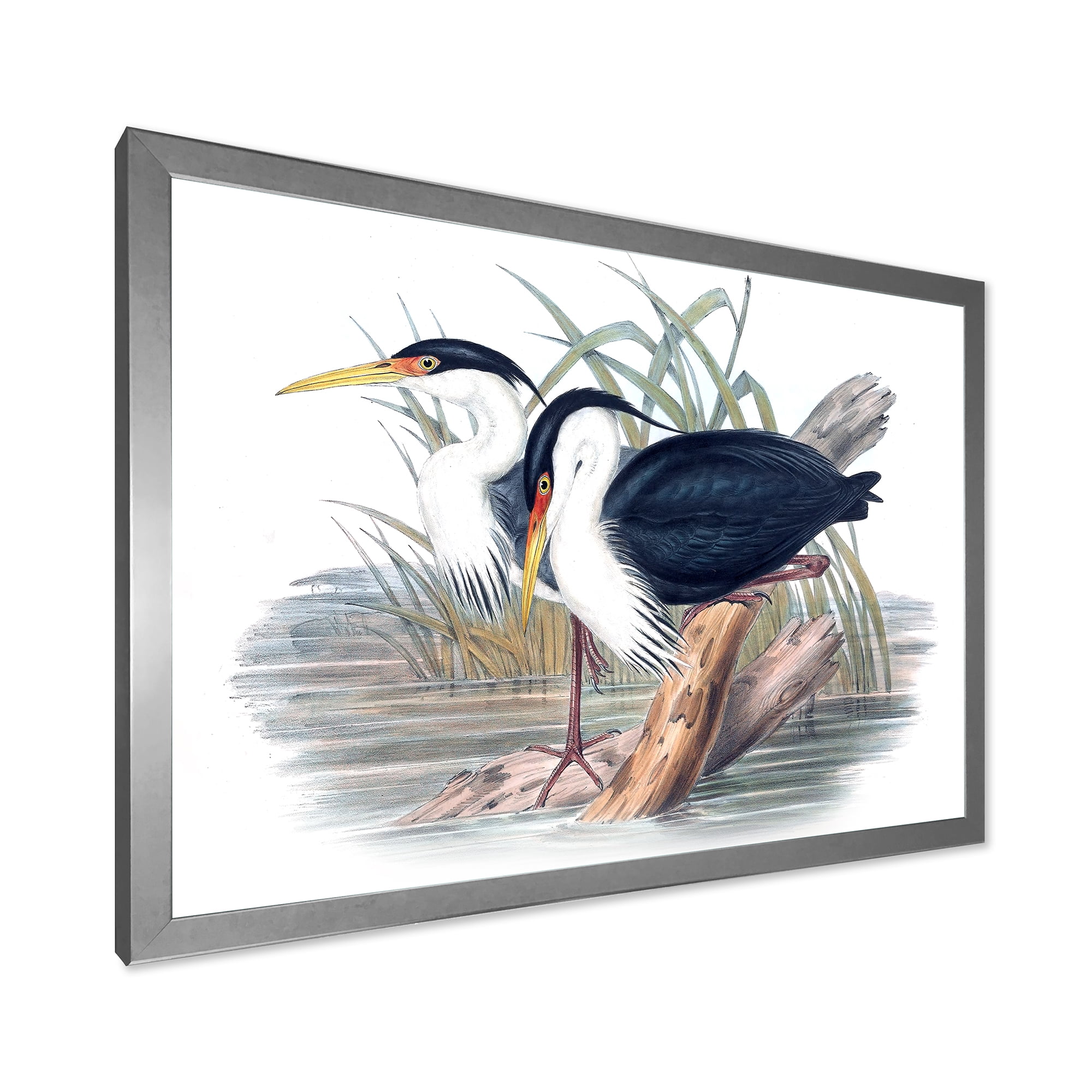 Designart 'Ancient Bird Life II' Traditional Framed Art Print
