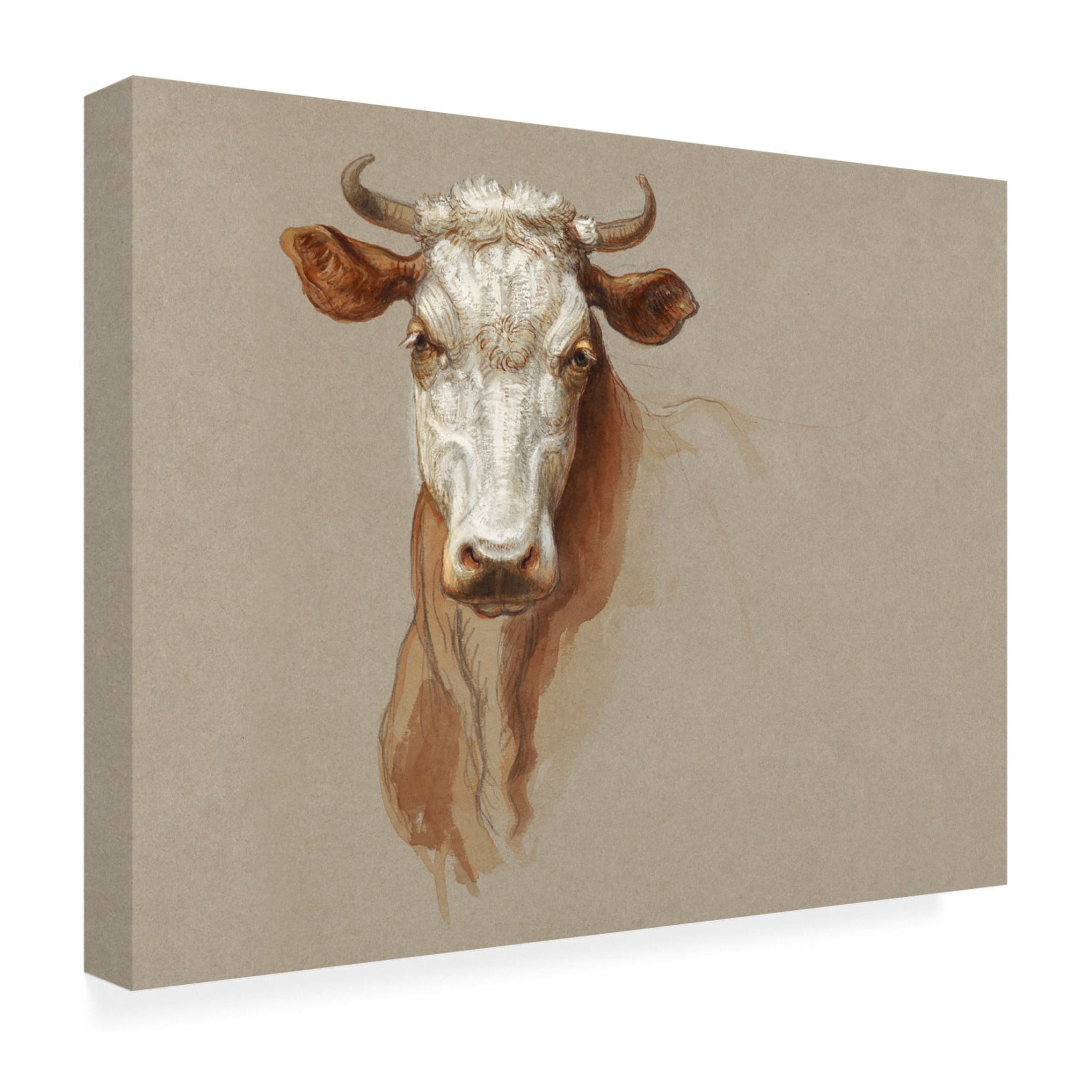 Trademark Fine Art Samuel Colman Colman Cow Portrait Study I Canvas Wall Art