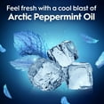 thumbnail image 6 of Oral-B Glide Peppermint Dental Floss Picks with Arctic Peppermint Oil Flavor, 75 Picks, 6 of 11