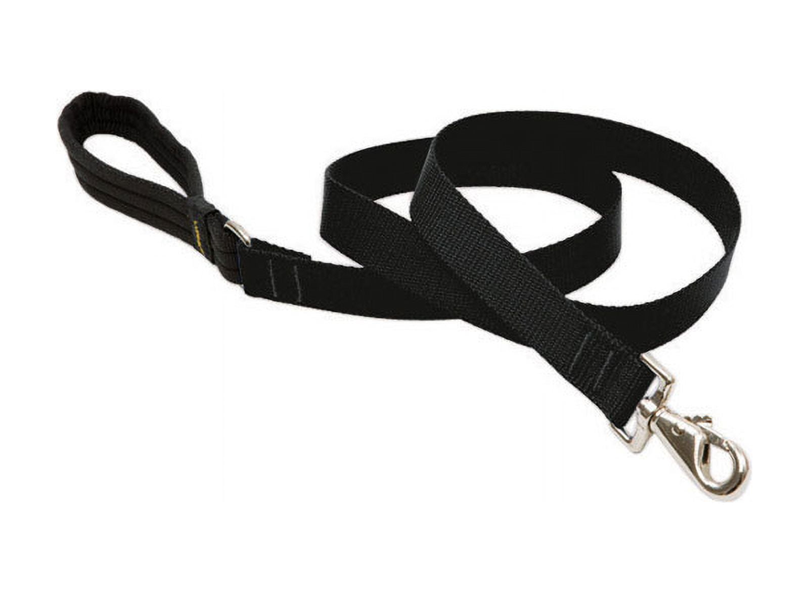 1in Black 6ft Dog Leash