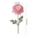 thumbnail image 3 of Artificial Ranunculus Flower Stems 8 Colors Realistic Fake Peony Bouquet For Home Wedding Party Table Centerpiece Vase Decor, 3 of 6
