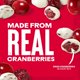 thumbnail image 4 of ® Greek Yogurt Covered Craisins®, Greek Yogurt Flavored, Covered Cranberries, Dried Fruit, 5 Oz Pouch (Pack of 1), 4 of 5