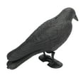 thumbnail image 5 of DEWIN Crow Decoy, Estatua de Cuervo de plástico Negro de Cuerpo Completo con estaca para pies para decoración de Exteriores y Jardines, 5 of 5