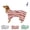 Red, variant on Dog Bathrobe Drying Towel, Pet Quick Dry Striped Towel Robe with Adjustable Strap, Super Absorbent Microfiber Drying Coat, Warm Keeping Dogs Cats Bath Supplies for Puppy Medium & Large