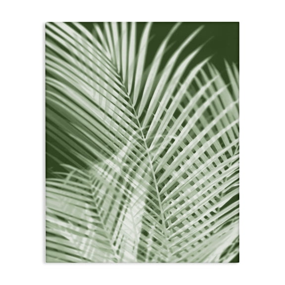Stupell Industries Green Palm Leaves Botanical & Floral Painting Gallery Wrapped Canvas Art Print Wall Art, 16 x 20