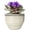 white, variant on Dphagesy African Violet pots 6 in Round Blue Ceramic Violet Pot with Self-Watering(plants are not included)