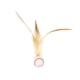 thumbnail image 2 of Juguete para gatos, pelota interactiva que rebota para gatos de interior y exterior, juguetes activos para gatos, pelotas para gatos, juguetes interactivos para gatos, juguetes portátiles, 2 of 8
