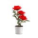 thumbnail image 1 of Naiovety Luz LED solar Bonsai único Lámpara de maceta Planta en maceta Luces de rosas Jardín Lámparas de noche Césped Dormitorio Hogar Decoración del hogar Rojo, 1 of 6