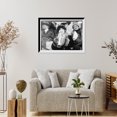 thumbnail image 4 of Historic Framed Print, Rose Sanderson, 17-7/8" x 21-7/8", 4 of 9