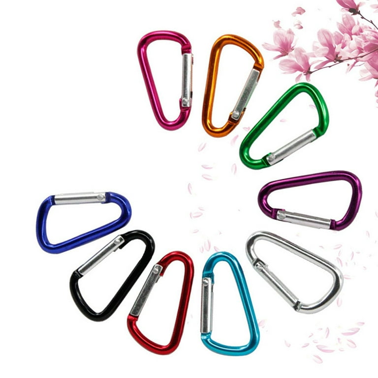Leye Carabiner Keychain Clip - Aluminum Carabeaner Key Clip,D Ring Shape  Caribeener Hook Buckle,Spring Snap Key Chain Clips(Random Color 1.85 inch  10pcs) 