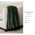 thumbnail image 3 of Brooklyn Jax Solid Plush Fleece Queen Blanket, Olive Green color, 3 of 6