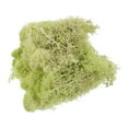 thumbnail image 1 of Musgo Artificial Falso Unique Bargains Musgo Natural Preservado Verde Amarillo, 1 of 7