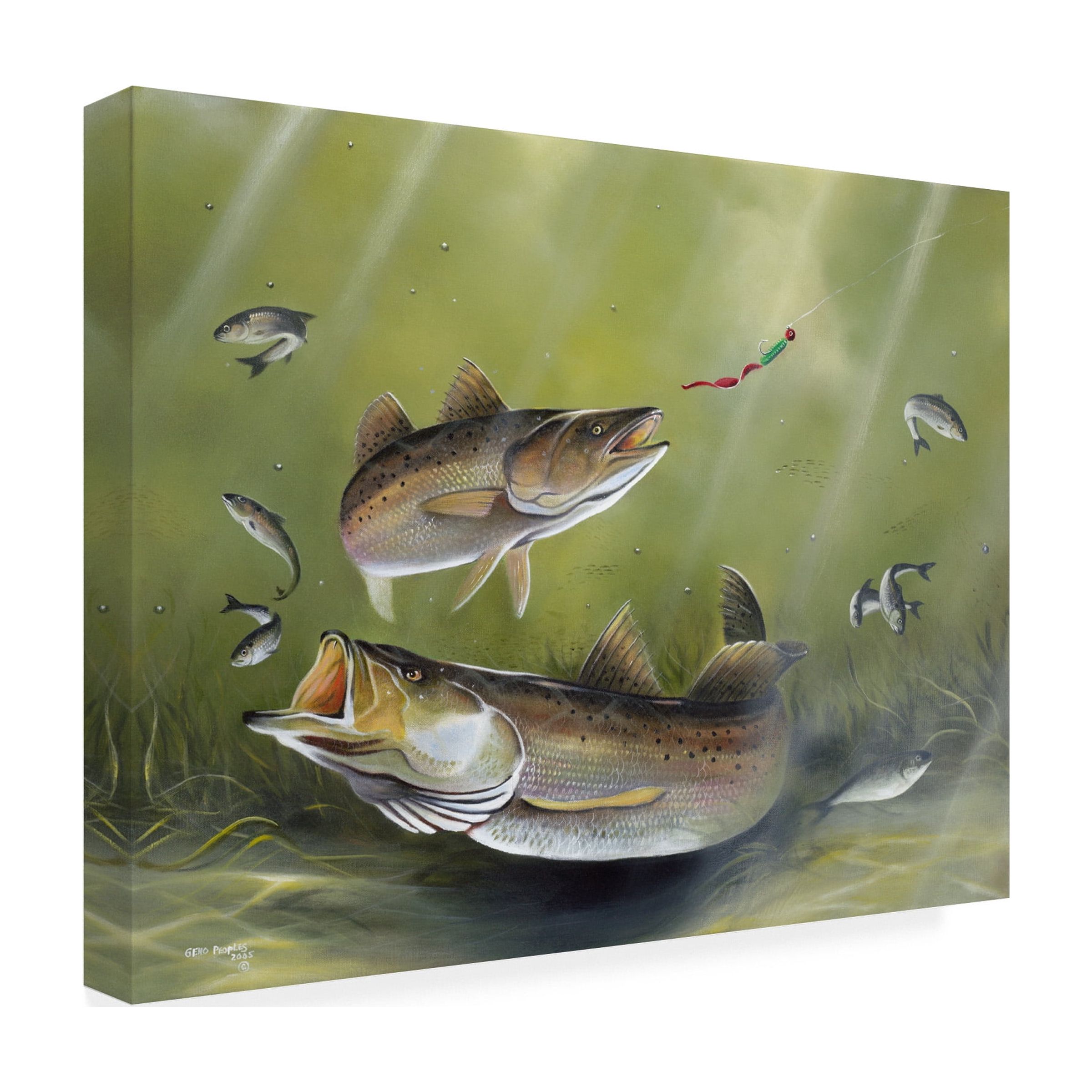 Trademark Fine Art Geno Peoples Speckled Trout Canvas Wall Art - 35x47
