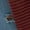 Red-B, variant on Suddenly: A Widow's Story of Unexpected Loss and Healing, (Paperback)