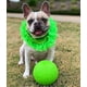 thumbnail image 5 of Juguete Flotante Pelota de Fútbol Jolly Pets Verde Manzana para Perro, 5 of 7