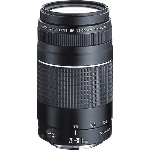 Canon Eos Rebel T6 Dslr Camera With Ef S 18 55mm F 3 5 5 6 Is Ii Ef 75 300mm F 4 5 6 Iii Dual Lens Kit 500mm Preset F 8 Telephoto Lens 0 43x Wide Angle 2 2x Pro