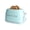 Aqua, variant on Nostalgia Classic Retro 2-Slice Toaster, Aqua