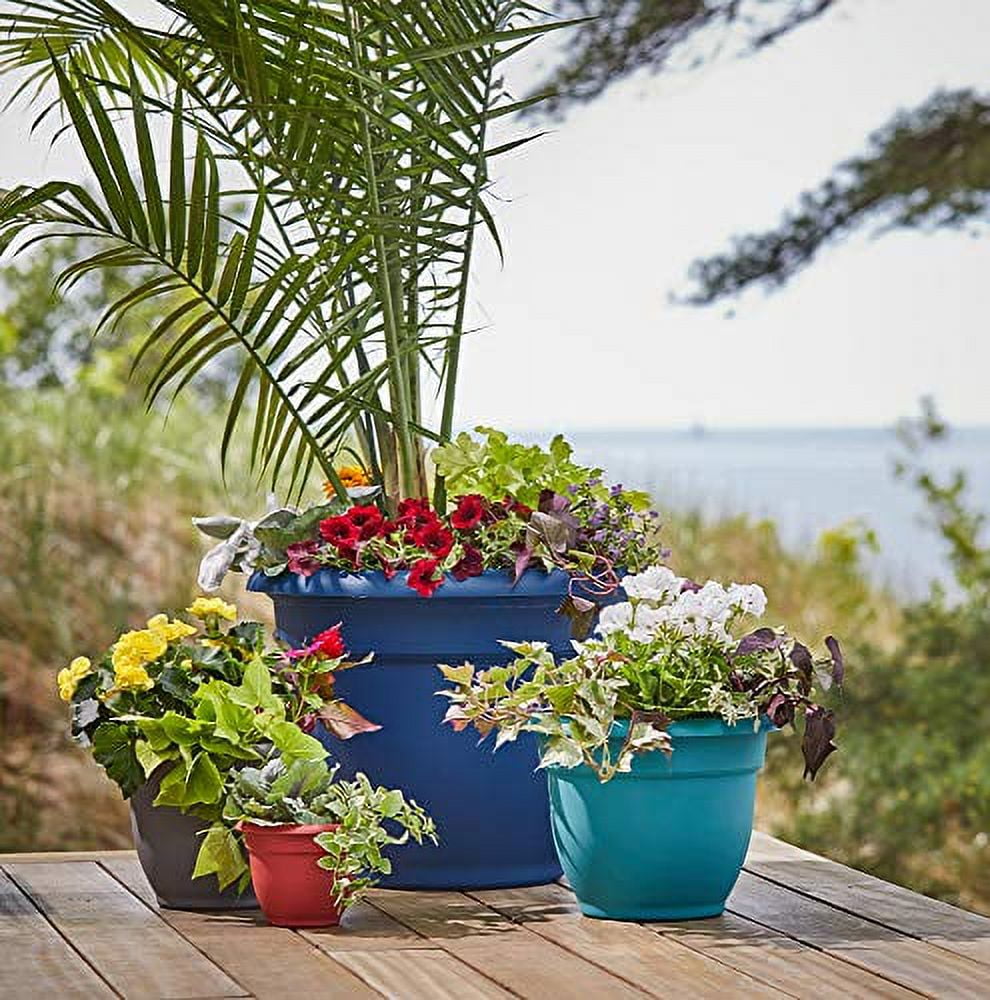 Bloem Ariana Planter - Self-Watering Disk, Durable Resin, Indoor/Outdoor - 16", Chocolate — Residential Use, Standard Application