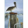thumbnail image 3 of Pelican - 24"x36" canvas - Print on demand, 3 of 5