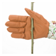 thumbnail image 2 of Guantes largos de jardinería para mujer, protectores de codo de brazos, guantes de jardín de poda a prueba de espinas con protección de antebrazo extralarga Guantes de trabajo de jardín Xemadio HZ-018-5, 2 of 4
