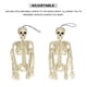 thumbnail image 5 of Esqueleto De Halloween Esqueleto De Simulación Halloween Plástico Calavera Fantasma Esqueleto Decoración Prop Para Decoración De Fiesta En Casa 2 Uds sonducket HA013113-00, 5 of 7