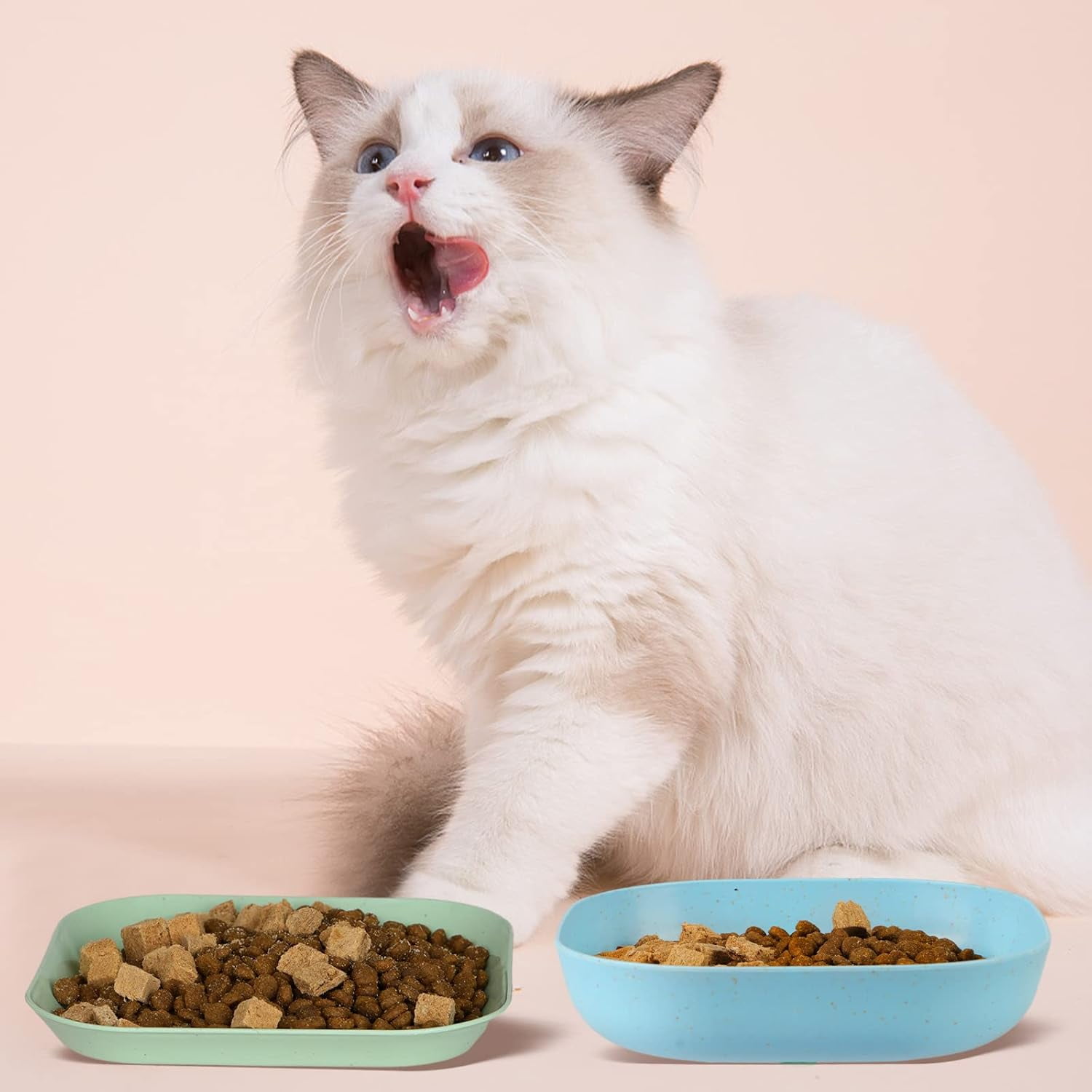 8-Piece Cat Food Bowl Set, 6-Inch Wide Shallow Cat Dish for Whisker Relief, Small Flat Pet Feeding Dish or Plate
