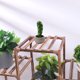 thumbnail image 3 of Planta de simulación planta en maceta simulación flor cactus bonsai decoración creativa planta verde, 3 of 5
