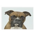 thumbnail image 1 of Boxer Dog Cutting Board, Front View 2 Years Old Purebred Boxer Dog Animal Photo, Decorative Tempered Glass Cutting and Serving Board, Large Size, Pale Brown, by Ambesonne, 1 of 1