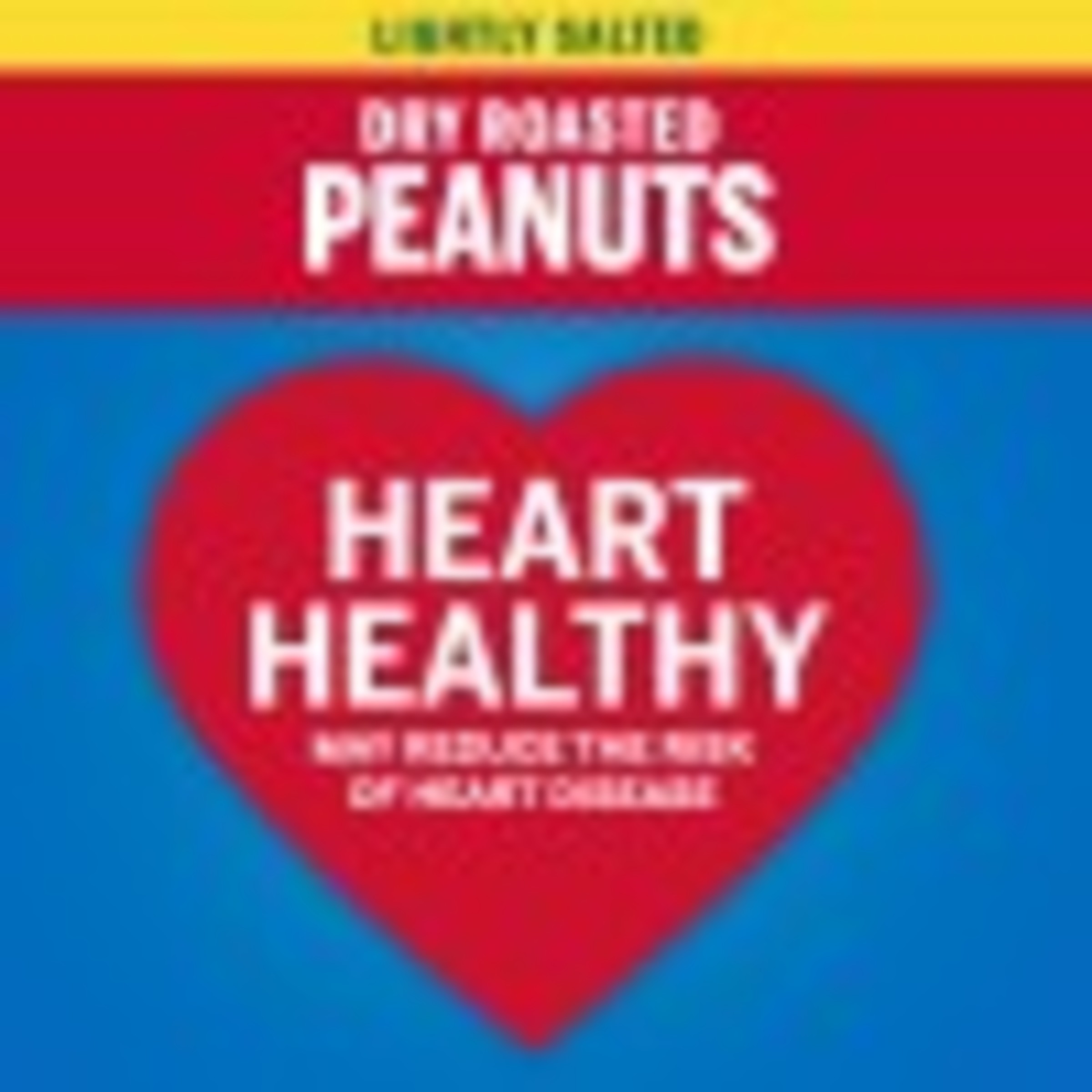 PLANTERS Lightly Salted Dry Roasted Peanuts, Party Snacks, Plant Based Protein, 16 oz Jar