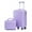 Purple, variant on 2 Piece in ABS Spinner Wheel Luggage Sets, Hardside Suitcase with Combination Lock,20 inch Carry On Luggage 14 inch Cosmetic Case