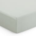 thumbnail image 5 of Evolur RawrSome Collection ( 2pc Sheet Set ), Light Sage Green & Dinosaur Print, 5 of 6
