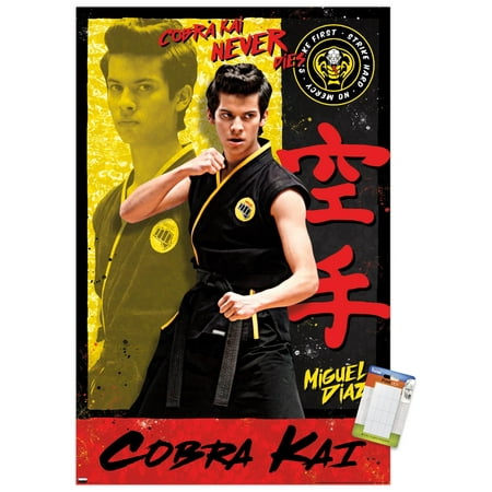 Cobra Kai - Miguel Wall Poster, 22.375" x 34"