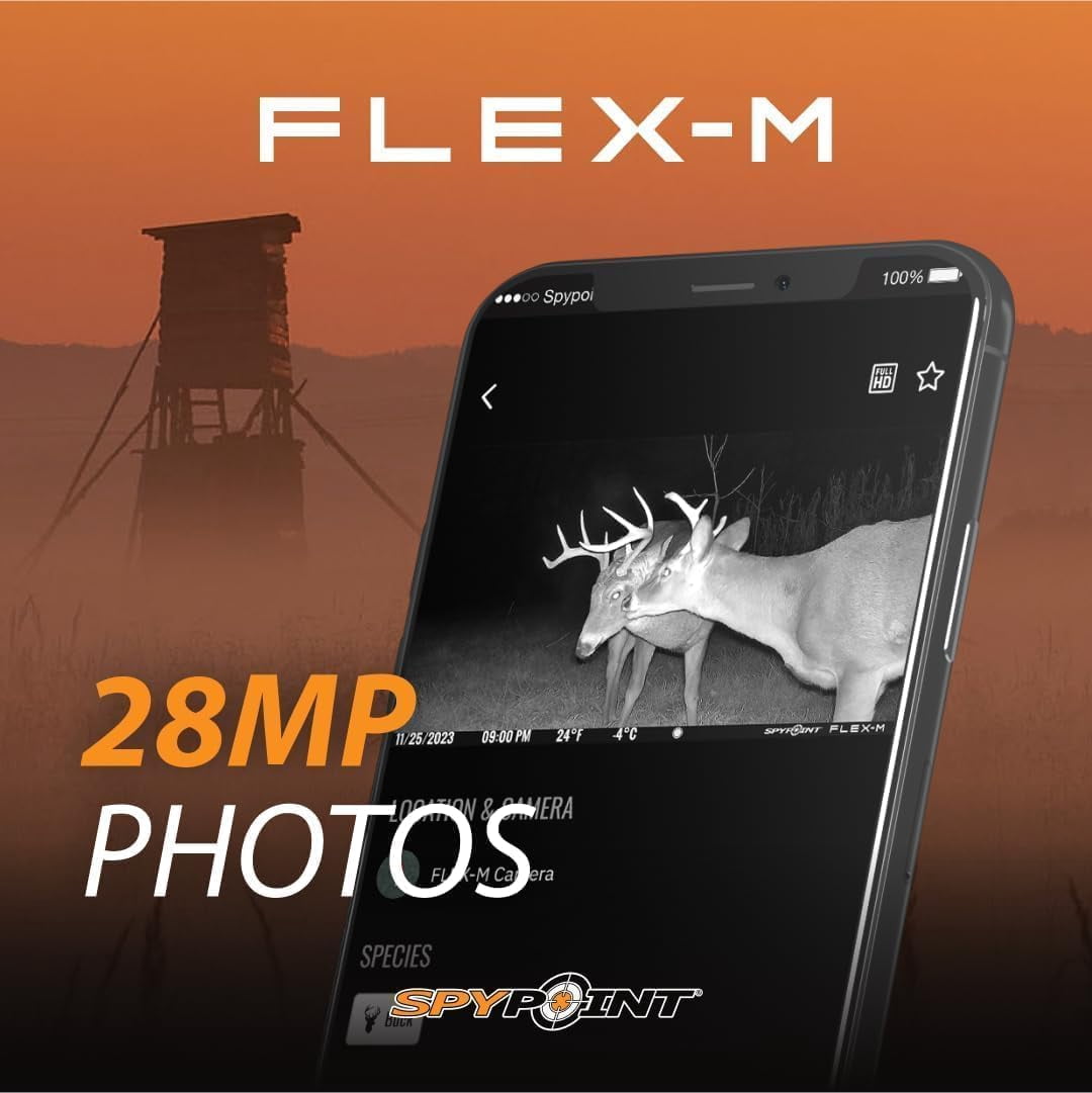 ZJQYDS Flex-M and SD Card Pack - Cellular Trail Cameras |Best Value in Hunting Accessories |No WiFi Needed & GPS-Enabled |Hunting Night Vision | IP65 Waterproof |28MP Photos, 720p Videos