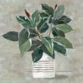 thumbnail image 3 of Swatland, Sally 20x20 Black Modern Framed Museum Art Print Titled - Simple Tropic II, 3 of 5