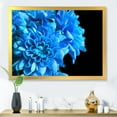 thumbnail image 3 of Designart 'Detail of Blue Flowers On Black Background I' Traditional Framed Art Print, 3 of 4
