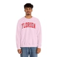 thumbnail image 5 of Florida Sweatshirt Gifts Crew Neck Shirt Long Sleeve Unisex, 5 of 7