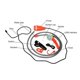 thumbnail image 1 of Outdoor Portable Camping Shower Kit with 2.5-3.5L/min Water Discharge 2m Hose USB Charging 30-60min Battery Life Zipper Bag Camp Shower, 1 of 5