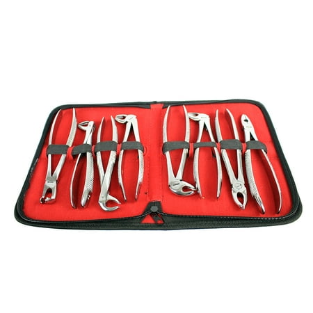 Bdeals English Pattern Dental Extracting Forceps 8PC Set Dental Instruments New