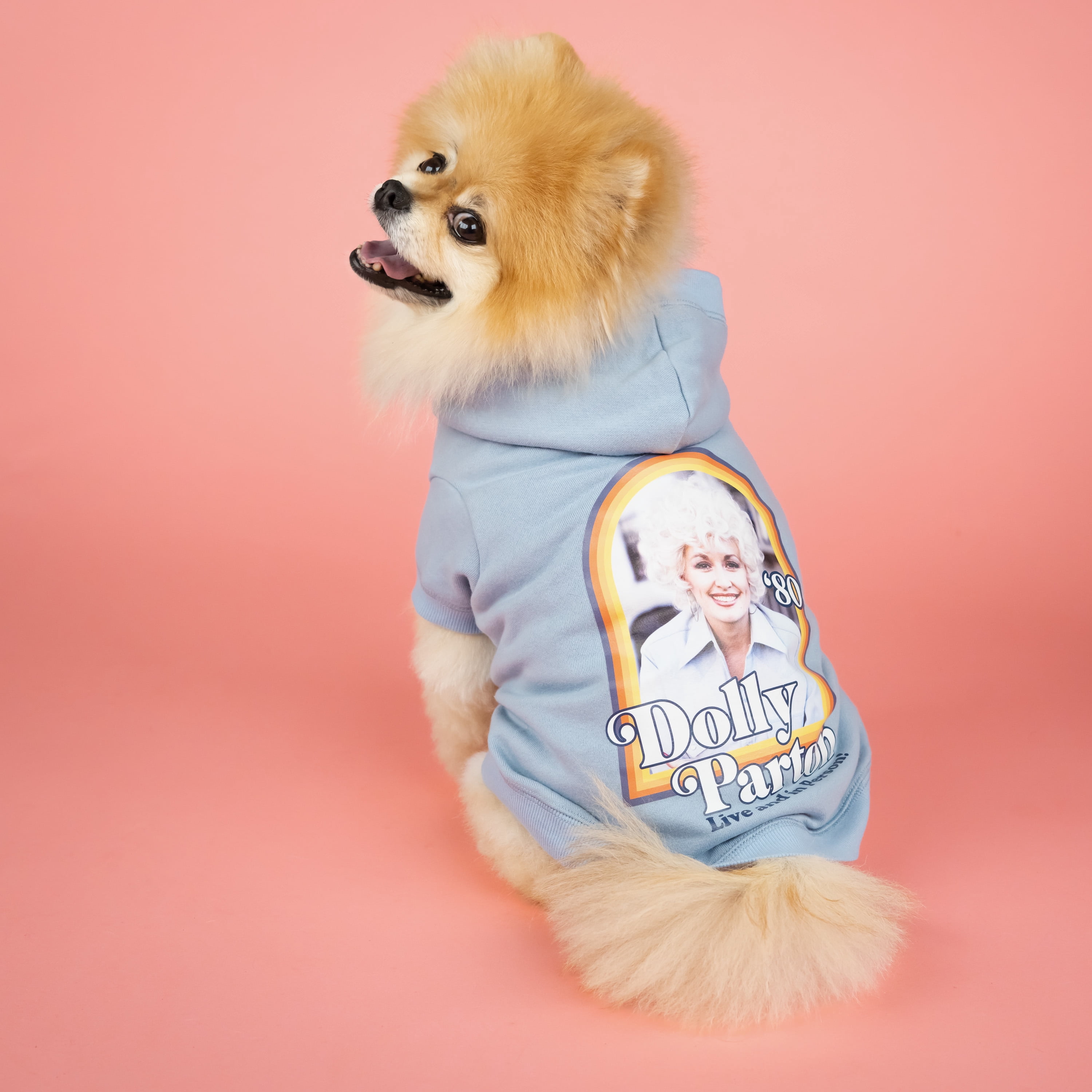 Doggy Parton, Dog Clothes, Dolly Parton Pet Hoodie, Blue, Medium