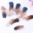 thumbnail image 2 of YIEMEEN 50 Pcs/Pack Soft Natural Feathers DIY for Creative Handmade Painting Crafts Supplies Wedding Party Home Decoration Ornam, 2 of 9