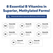 BioActive Vitamin B Complex Liquid (8 oz)