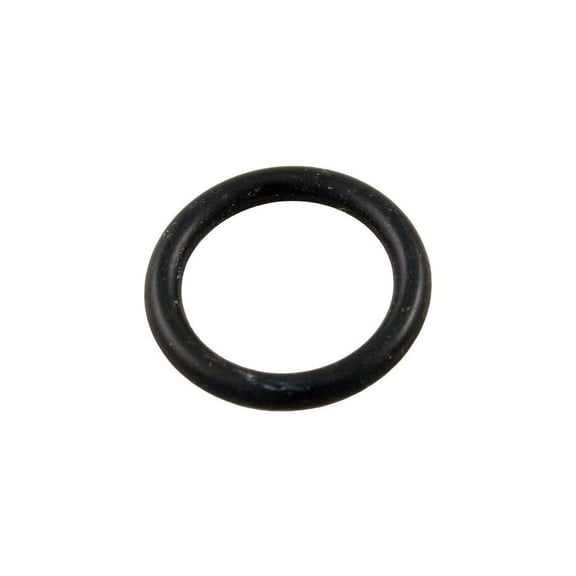 Waterway 805-0114 TWM Air Relief Plug O-Ring for Leisure Bay Filters