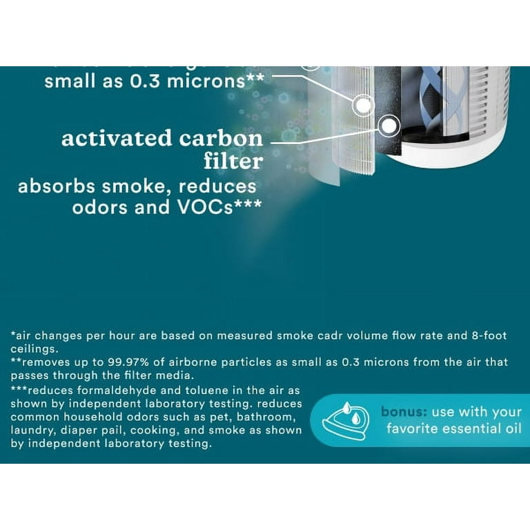 Which Small Air Purifier Filters Vocs And Mold
