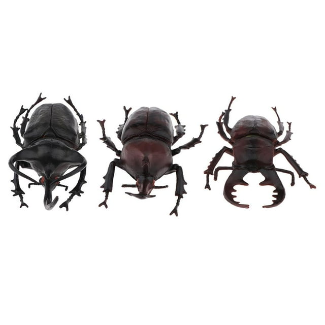 3pcs Mini Juguetes Animales Modelo de Simulación CUTICAT Coleccionable Juguetes de estatuillas de insectos